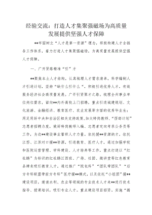 经验交流：打造人才集聚强磁场为高质量发展提供坚强人才保障.docx