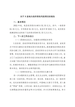 地方政府债务风险情况的报告.docx