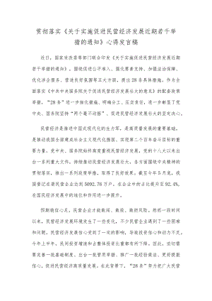 贯彻落实《关于实施促进民营经济发展近期若干举措的通知》心得发言稿.docx