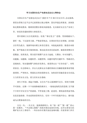 学习全国安全生产电视电话会议心得体会一.docx