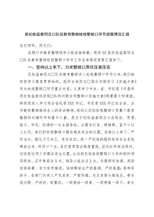 纪检监察干部队伍教育整顿检视整治环节进展情况汇报.docx