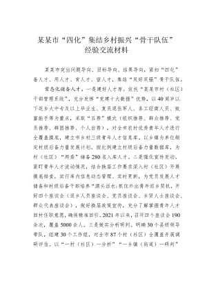 某某市“四化”集结乡村振兴“骨干队伍”经验交流材料.docx