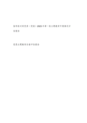 指导组对某党委（党组）2023年第一批主题教育开展情况评估报告和党委主题教育自查评估报告.docx