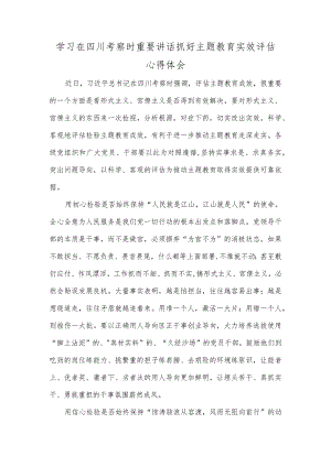 学习在四川考察时重要讲话抓好主题教育实效评估心得体会.docx