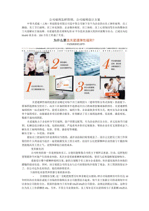 公司福利怎样管理-公司福利设计方案.docx