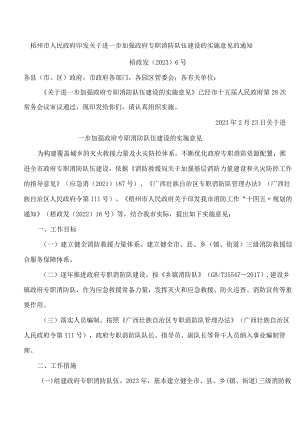 梧州市人民政府印发关于进一步加强政府专职消防队伍建设的实施意见的通知.docx