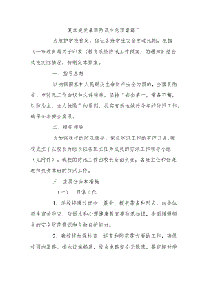 夏季突发暴雨防汛应急预案篇三.docx