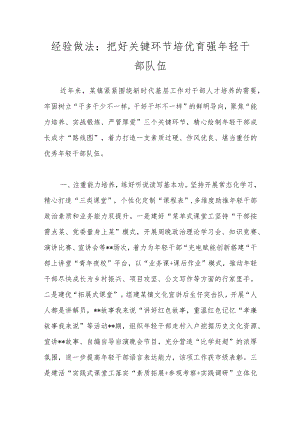 经验做法：把好关键环节 培优育强年轻干部队伍.docx
