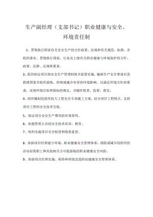 生产副经理（支部书记）职业健康与安全、环境责任制模板范本.docx