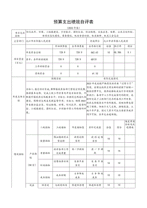 预算支出绩效自评表.docx