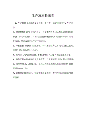 生产班班长职责模板范本.docx