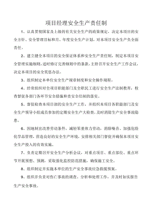 项目经理安全生产责任制.docx
