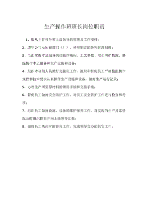 生产操作班班长岗位职责模板范本.docx
