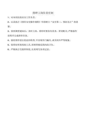 排矸工岗位责任制.docx