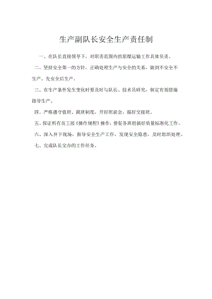 生产副队长安全生产责任制模板范本.docx