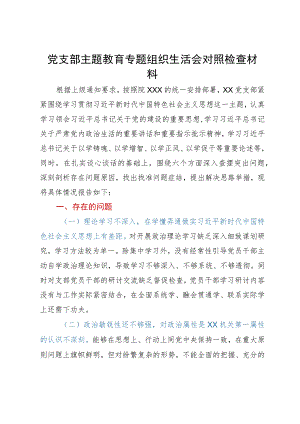 党支部主题教育专题组织生活会对照检查材料.docx