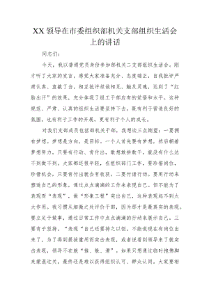 XX领导在市委组织部机关支部组织生活会上的讲话.docx