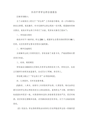 东沟中学学生奶自查报告.docx