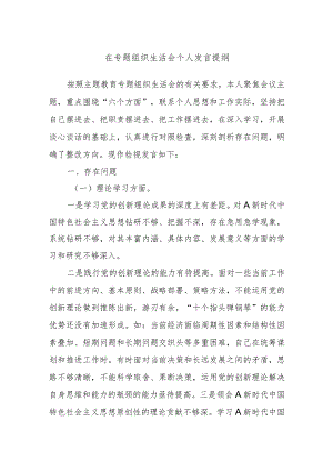 在专题组 织生活会个人发言提纲.docx