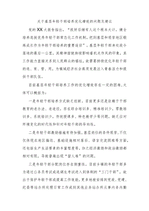 关于基层年轻干部培养优化增效的问题及建议.docx