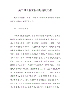 关于田长制工作推进情况汇报.docx