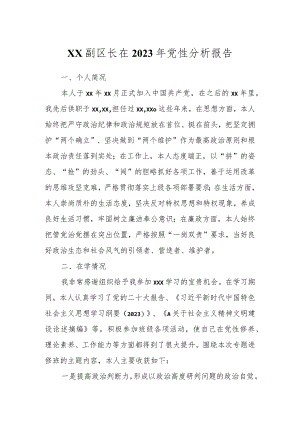 XX副区长在2023年党性分析报告.docx