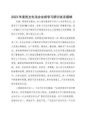 2023年度民主生活会会前学习研讨发言提纲.docx