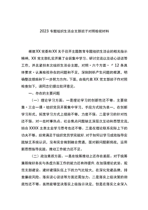 2023XX教育专题组织生活会支部班子对照检视材料.docx