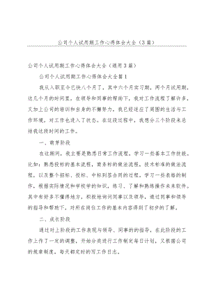 公司个人试用期工作心得体会大全（3篇）.docx