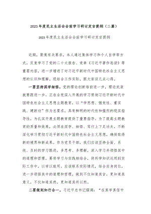 2023年度民主生活会会前学习研讨发言提纲(二篇).docx