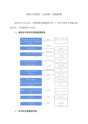 高校大学新生（云南省）资助政策（2023年）.docx
