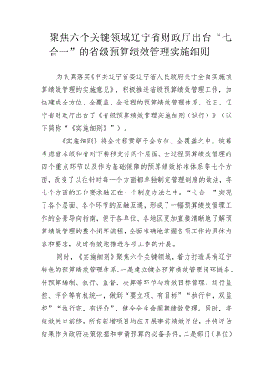 聚焦六个关键领域辽宁省财政厅出台“七合一”的省级预算绩效管理实施细则.docx