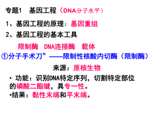 选修三复习6221.ppt