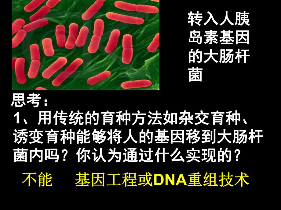 选修3专题111DNA重组技术的基本工具.ppt_第1页