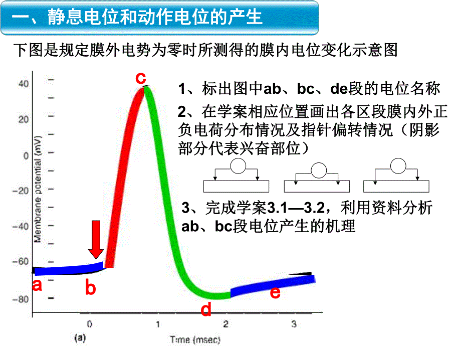 通过神经系统的调节复习课件好.ppt_第3页