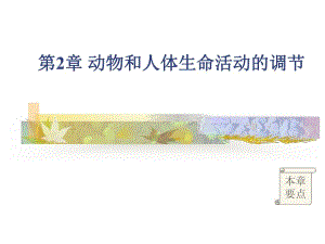通过神经系统的调节2.ppt