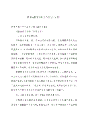 销售内勤下半年工作计划（3篇）.docx