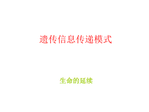 遗传信息传递模式.ppt