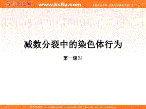 遗传与进化减数分裂中的染色体行为.ppt