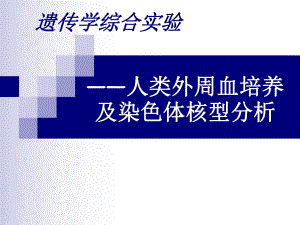 遗传实验05人外周血培养与染.ppt