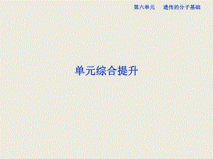 遗传的分子基础单元综合提升复习.ppt