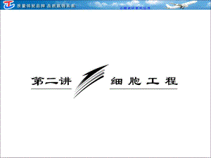 选修第二讲细胞工程.ppt