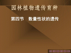 遗传学第4章数量性状遗传.ppt