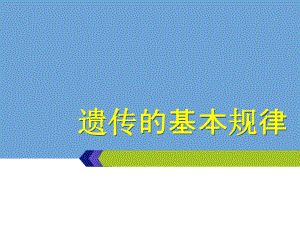 遗传基本规律补.ppt