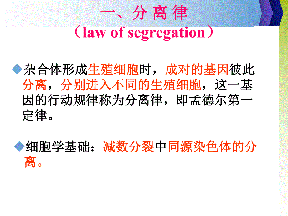 遗传基本规律补.ppt_第3页