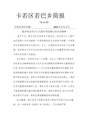 若巴乡简报第11期.docx