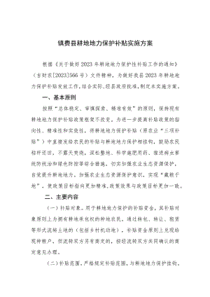 镇赉县耕地地力保护补贴实施方案.docx