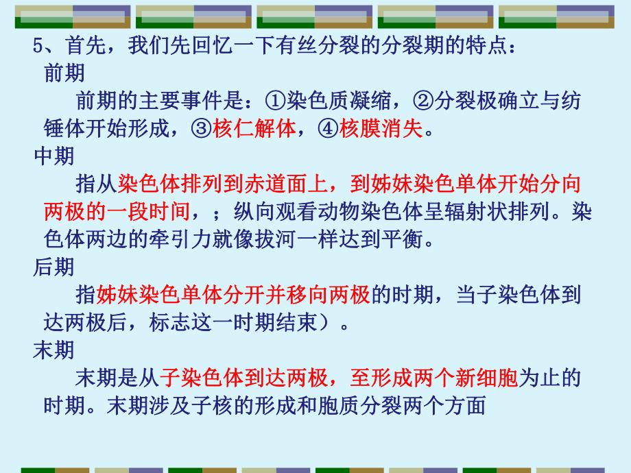 遗传实验1有丝分裂.ppt_第3页