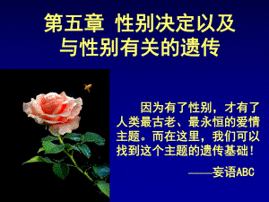 遗传学性别决定及与性别有关的遗传.ppt