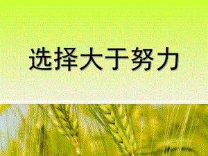 选择大于努力.ppt
